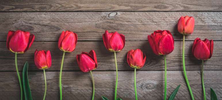 Εβδομαδιαίες αστρολογικές προβλέψεις 20 ως 26/4/2026.