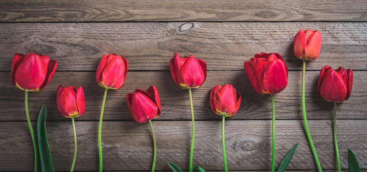 Η Αφροδίτη σε εξάγωνο με τον Πλούτωνα στις 7 Μαΐου 2025.