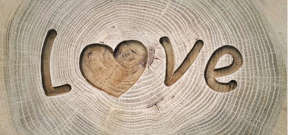 Ημερήσιες αισθηματικές προβλέψεις Ταρώ για τα 12 ζώδια.