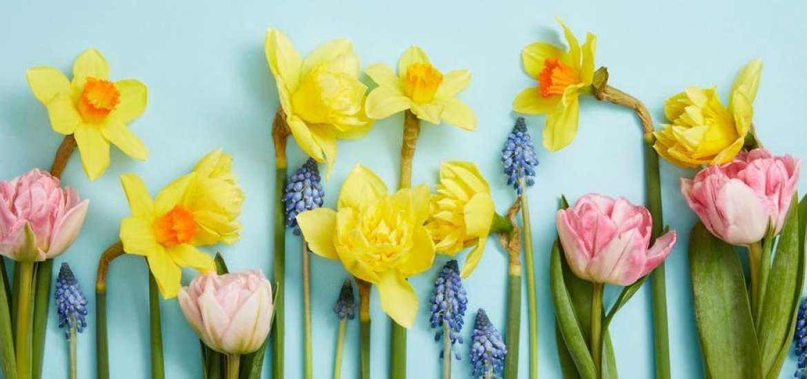 Η Αφροδίτη σε τετράγωνο με τον Πλούτωνα στις 1 Μαΐου 2024.