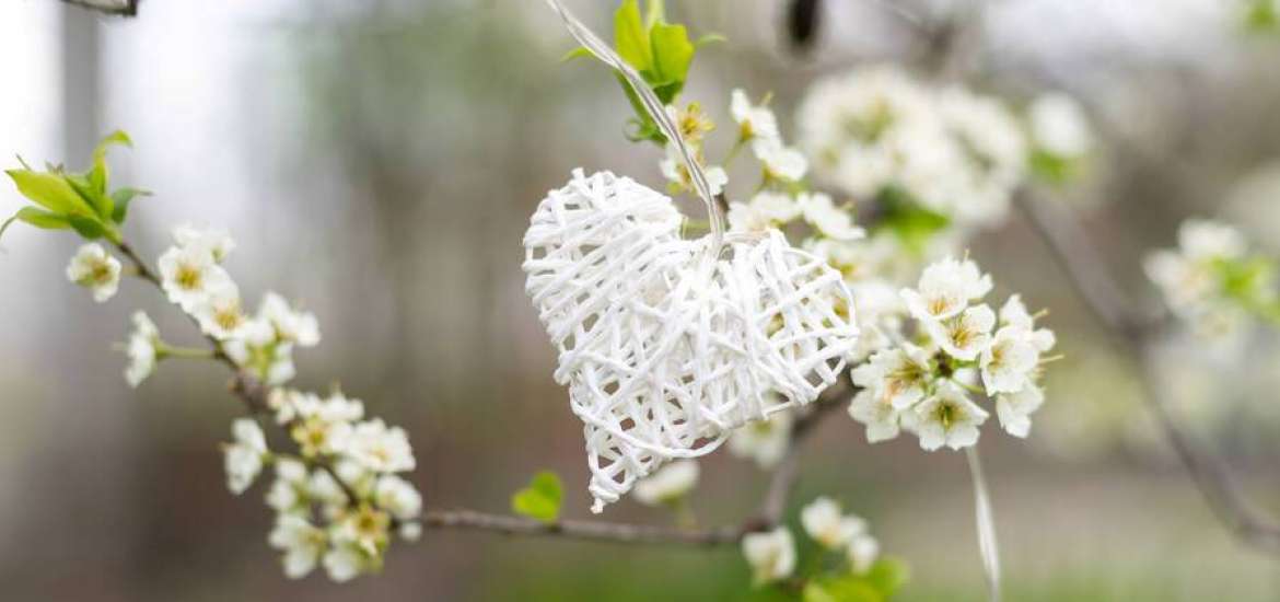 Η Αφροδίτη σε σύνοδο με τον Κρόνο στις 7 Απριλίου 2025.