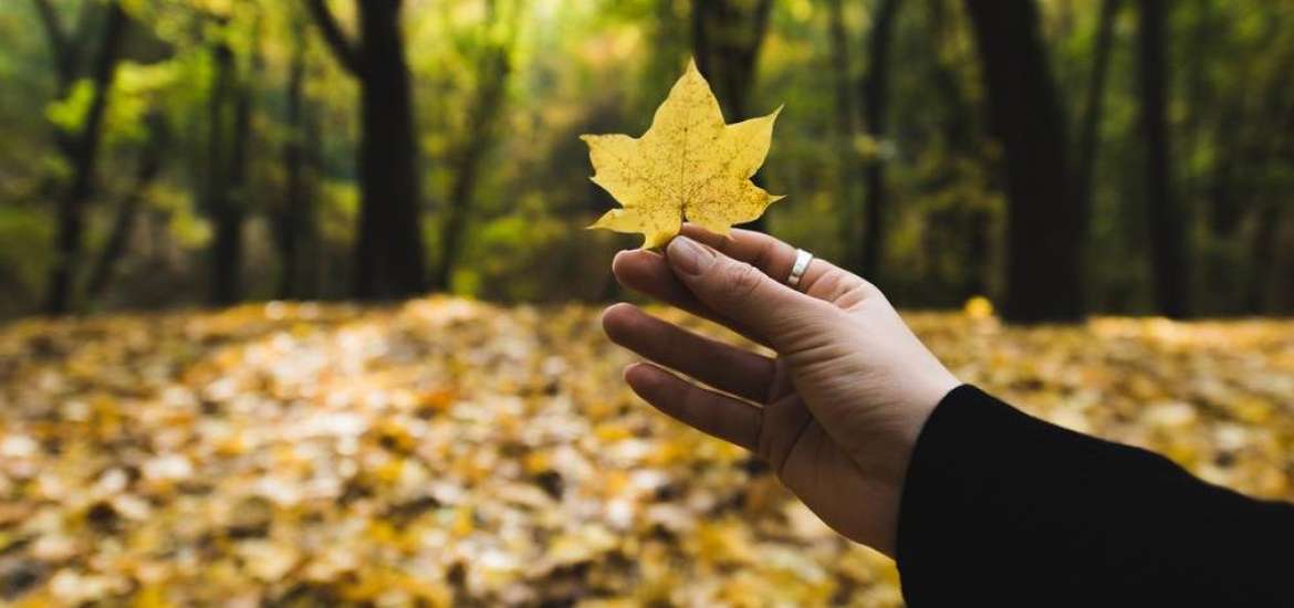 Η Αφροδίτη σε αντίθεση με τον Ποσειδώνα στις 4 Νοεμβρίου 2023.