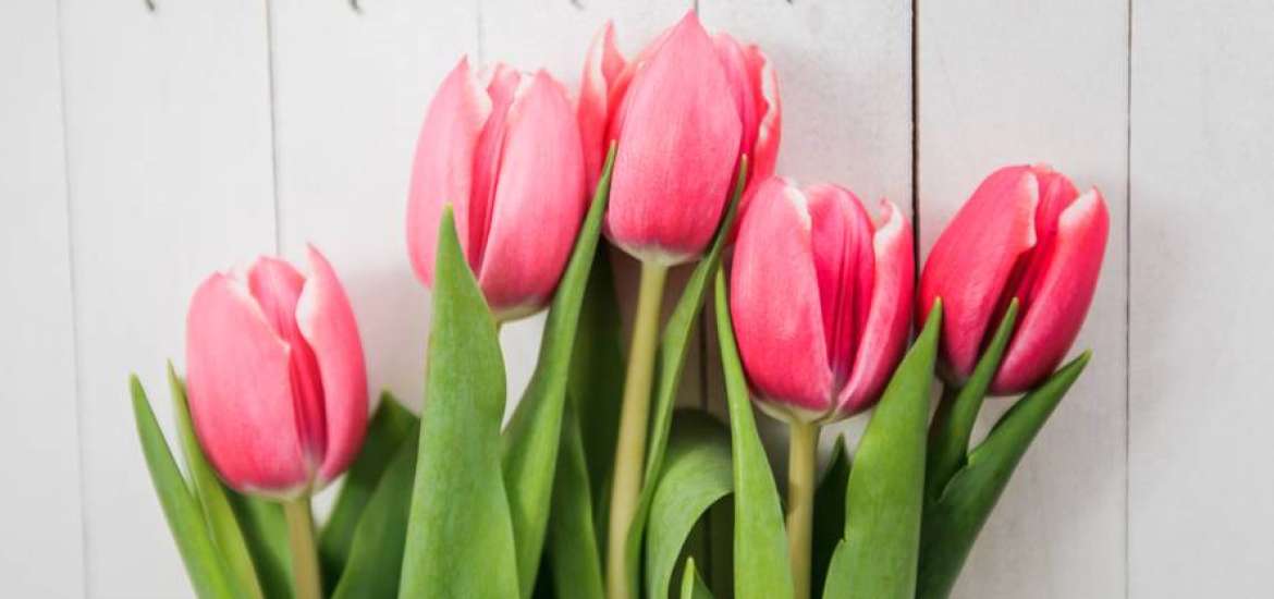 Η Αφροδίτη σε εξάγωνο με τον Δία στις 24 Μαρτίου 2024.