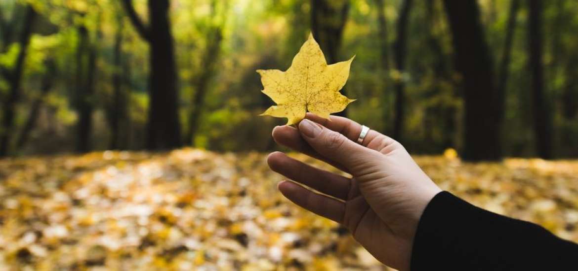 Ανάδρομος Δίας στον Ταύρο μέχρι 30 Δεκεμβρίου 2023.