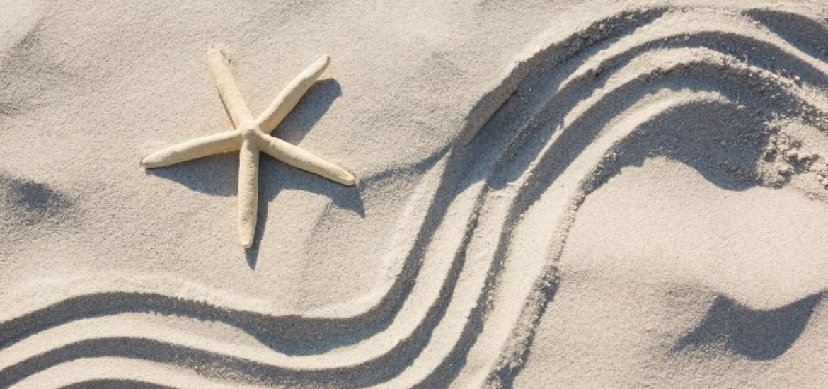 O Άρης σε τρίγωνο με Πλούτωνα: Πόσο πάθος αντέχεις να ζήσεις;