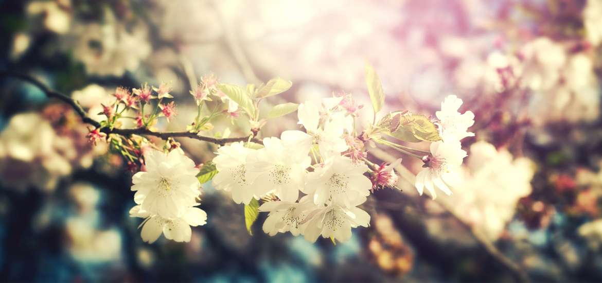 Αστρολογικό ημερολόγιο Μαρτίου 2022.