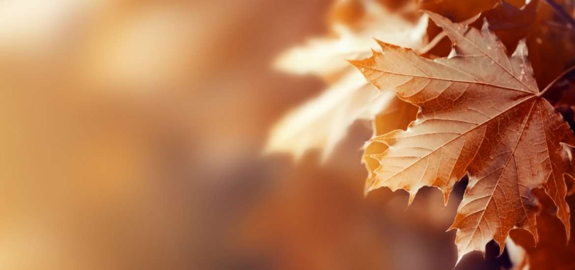 Αστρολογικό ημερολόγιο Νοεμβρίου 2021.