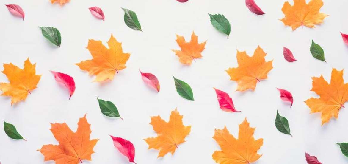 Ο Ερμής σε τετράγωνο με τον Πλούτωνα στις 21 Οκτωβρίου 2023.