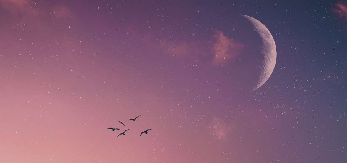 Η Νέα Σελήνη στον Σκορπιό στις 20 Νοεμβρίου 2025.