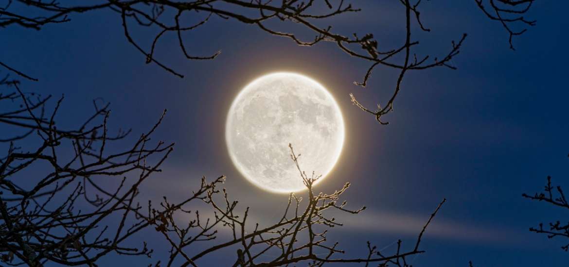 Η Πανσέληνος στον Ταύρο τον Νοέμβριο 2025.