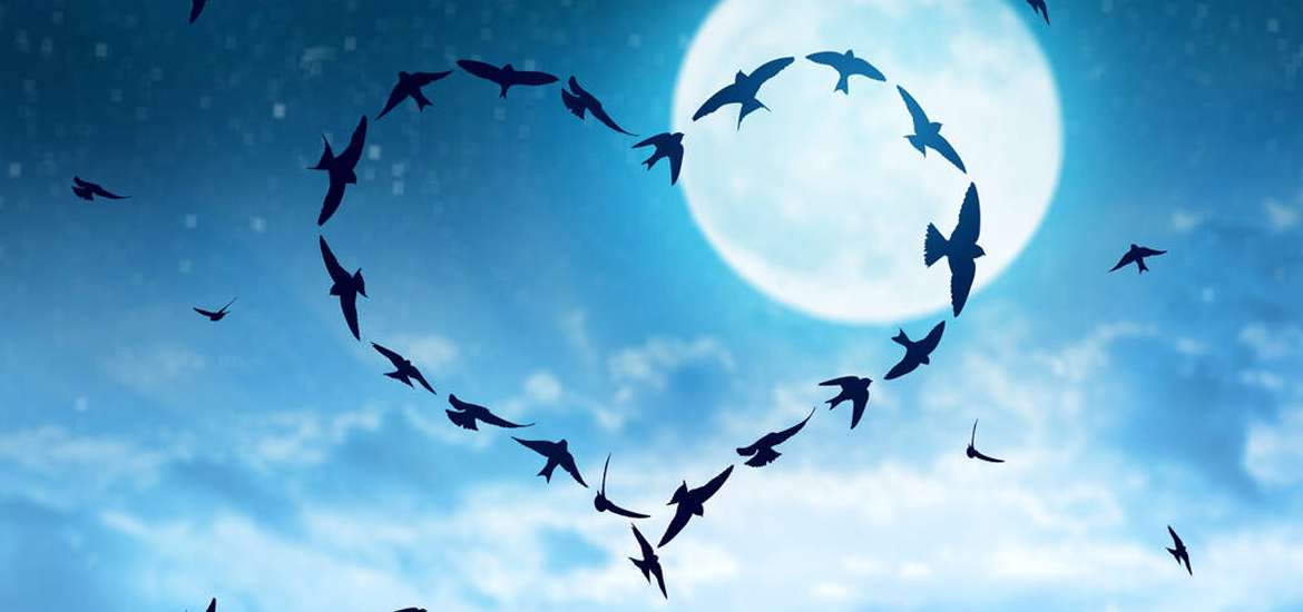 Πως επηρεάζεσαι κάθε φορά που σχηματίζεται Πανσέληνος;