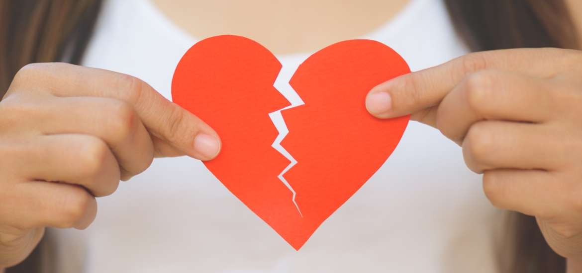 Πώς χωρίζουν τα ζώδια και τι δείχνει η στάση τους;