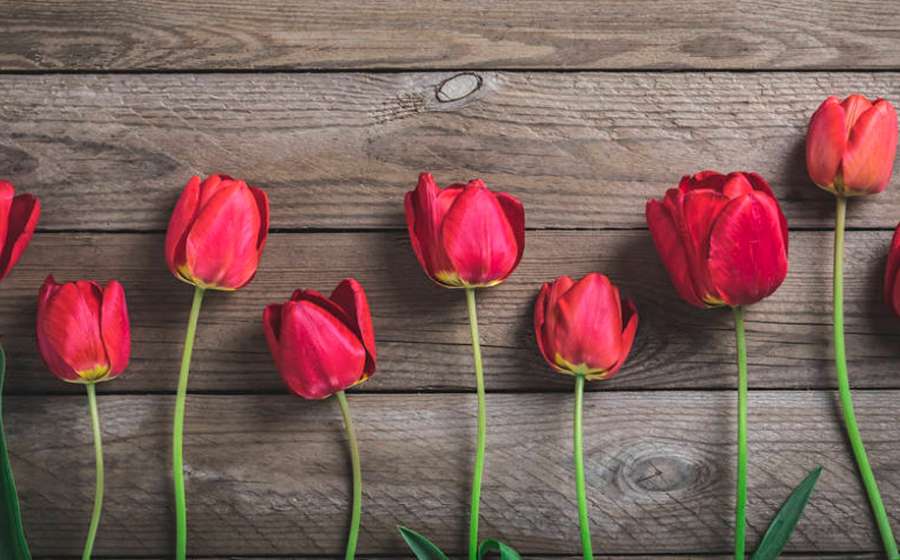 Η Αφροδίτη σε εξάγωνο με τον Πλούτωνα στις 7 Μαΐου 2025.