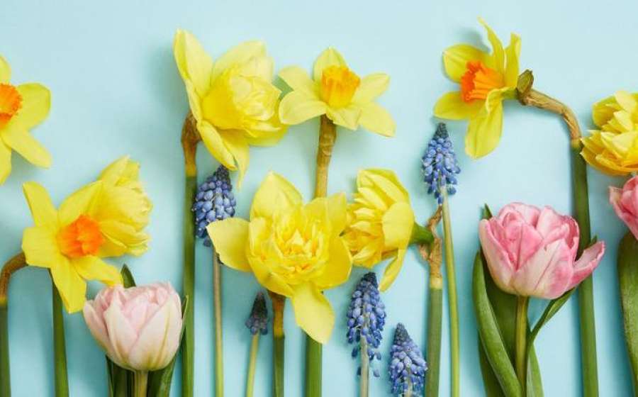 Η Αφροδίτη σε τετράγωνο με τον Πλούτωνα στις 1 Μαΐου 2024.