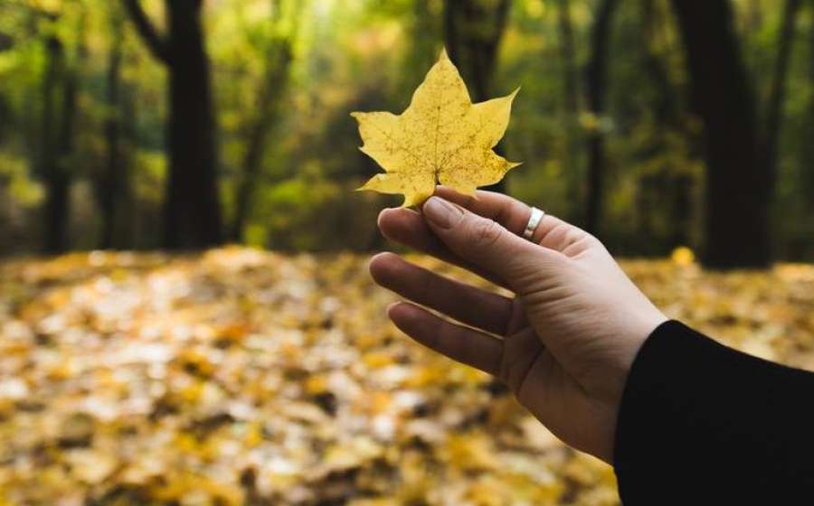 Η Αφροδίτη σε αντίθεση με τον Ποσειδώνα στις 4 Νοεμβρίου 2023.