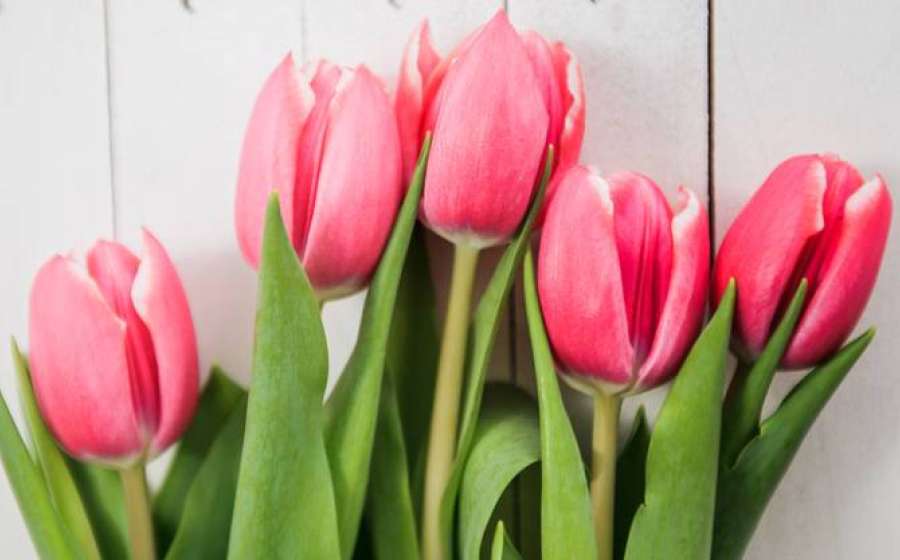 Η Αφροδίτη σε εξάγωνο με τον Δία στις 24 Μαρτίου 2024.