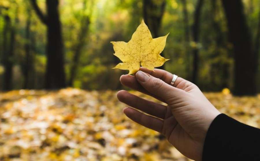Ανάδρομος Δίας στον Ταύρο μέχρι 30 Δεκεμβρίου 2023.
