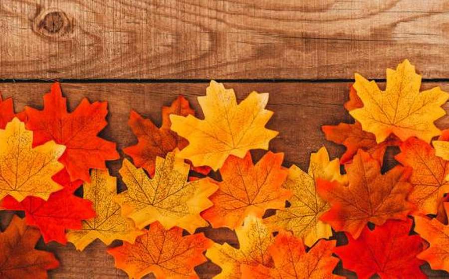 Από τι είδους τοξικές σχέσεις κινδυνεύει το κάθε ζώδιο.