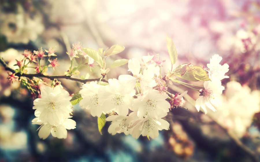 Αστρολογικό ημερολόγιο Μαρτίου 2022.