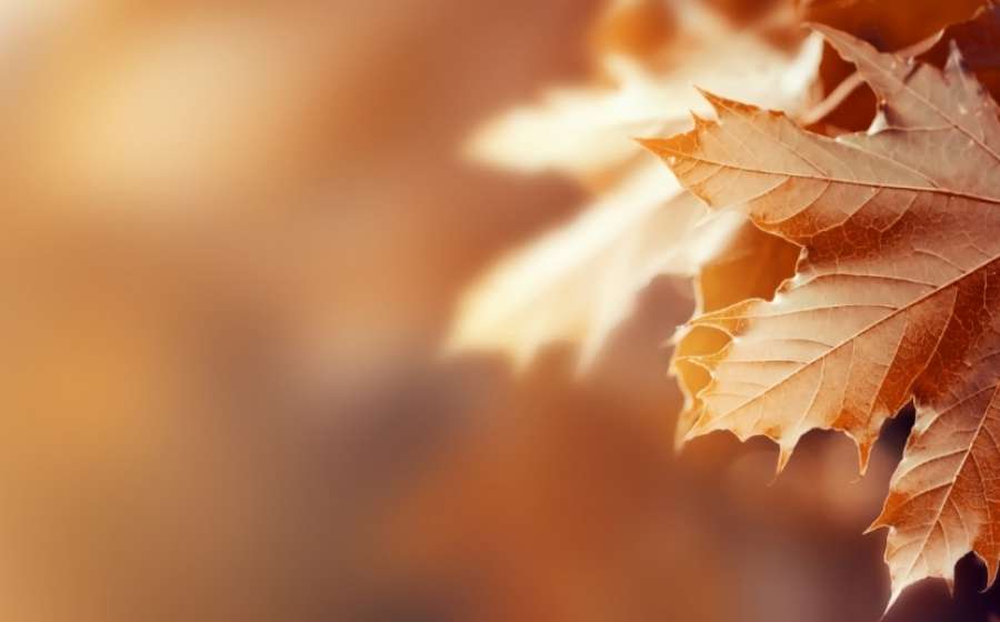 Αστρολογικό ημερολόγιο Νοεμβρίου 2021.