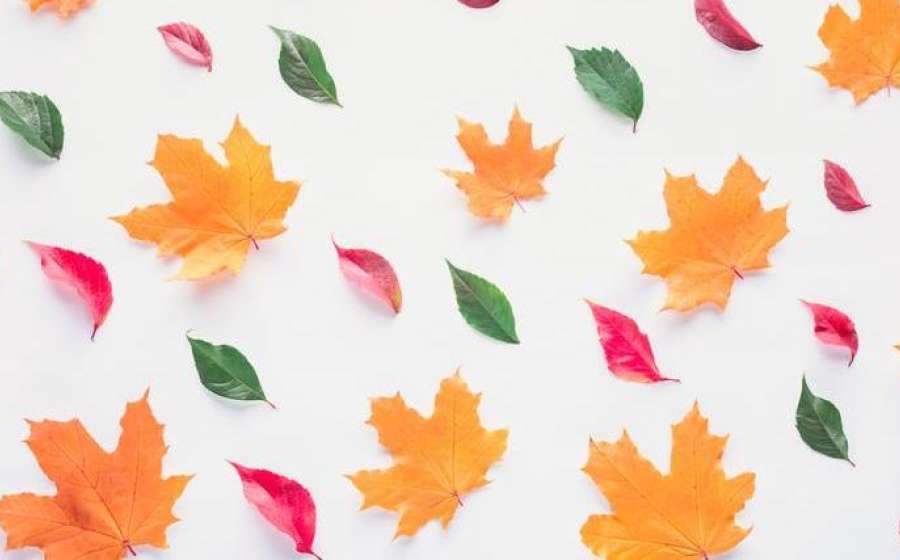 Ο Ερμής σε τετράγωνο με τον Πλούτωνα στις 21 Οκτωβρίου 2023.