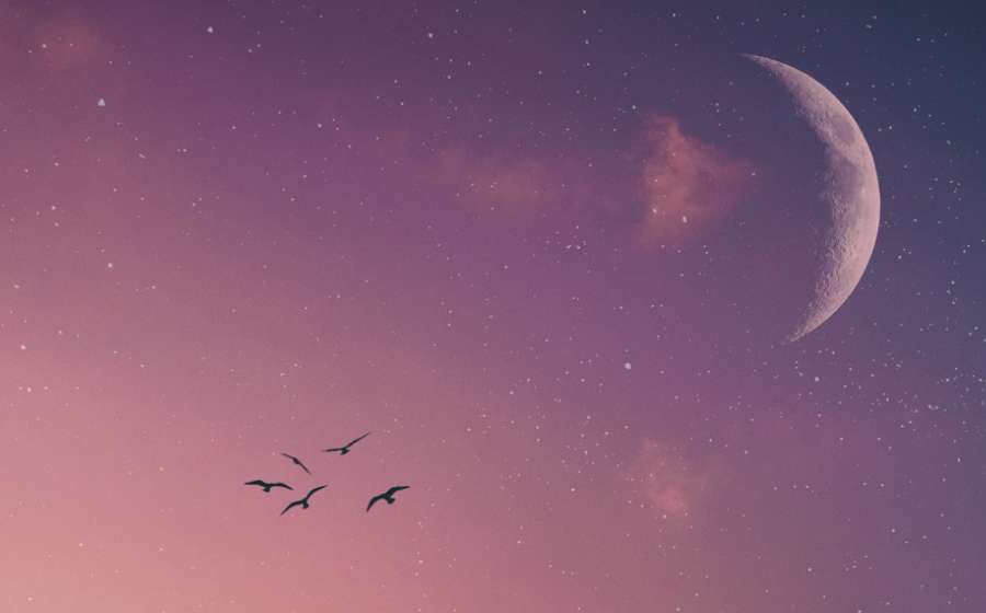 Η Νέα Σελήνη στον Σκορπιό στις 20 Νοεμβρίου 2025.