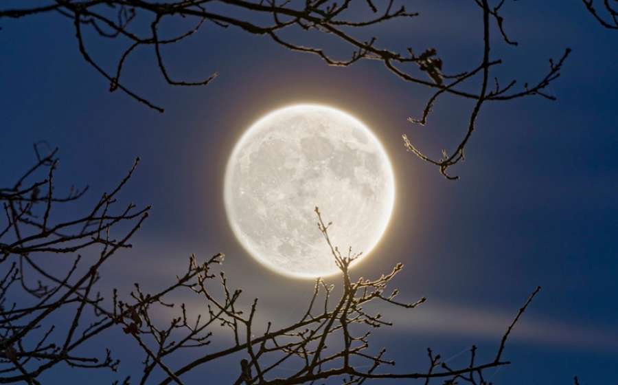 Η Πανσέληνος στον Ταύρο τον Νοέμβριο 2025.