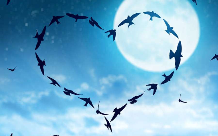 Πως επηρεάζεσαι κάθε φορά που σχηματίζεται Πανσέληνος;