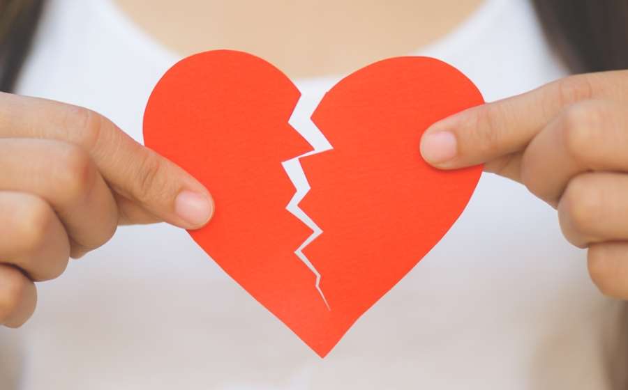 Πώς χωρίζουν τα ζώδια και τι δείχνει η στάση τους;